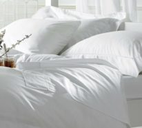 Milben im Bett: Wie kann man Bettmilben bekämpfen?