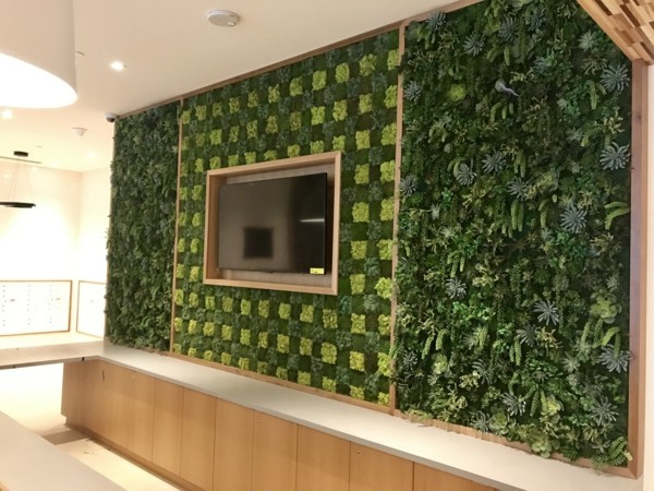 Mooswand Biophilie grüne Wandgestaltung Wohnwand mit Moss