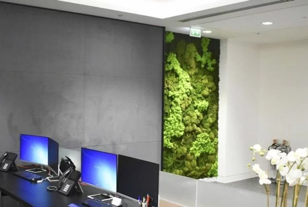 Mooswand Biophilie grüne Wandverkleidung Arbeitsplatz Office einrichten