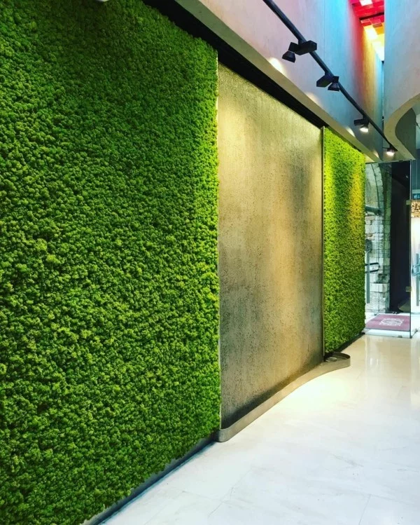 Mooswand Biophilie grüne Wandverkleidung Betonwand