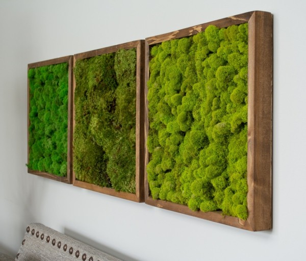 Möchten Sie eine Mooswand in Ihrem Zuhause oder Garten haben? - Fresh