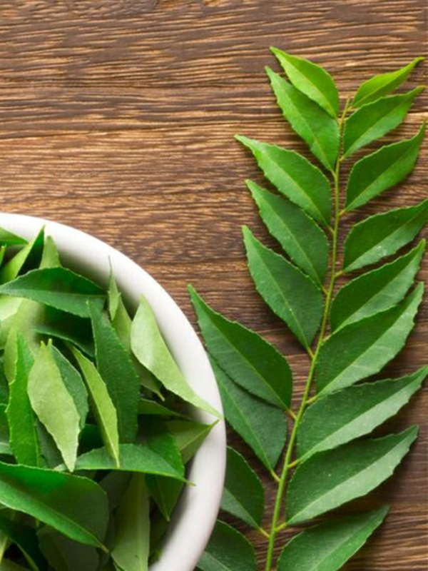 Neemöl Neembaum Blätter gesundheitliche Vorteile