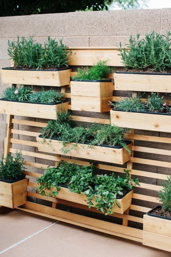 Outdoor - Trends 2020 Grüne Wand Holzwand Holzkästen bepflanzt mit verschiedenen grünen Pflanzen schöner Anblick