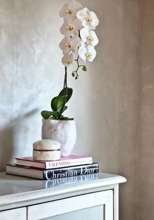 Tischdeko mit Orchideen Hausdekoration mit Topfpflanzen