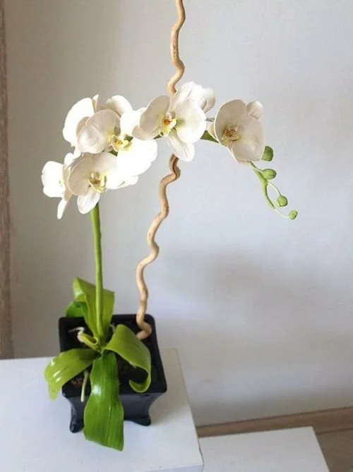 Tischdeko mit Orchideen festliche Hausdekoration