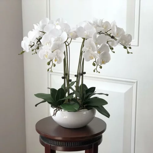 Tischdeko mit Orchideen weiß Hausdekoration Ideen