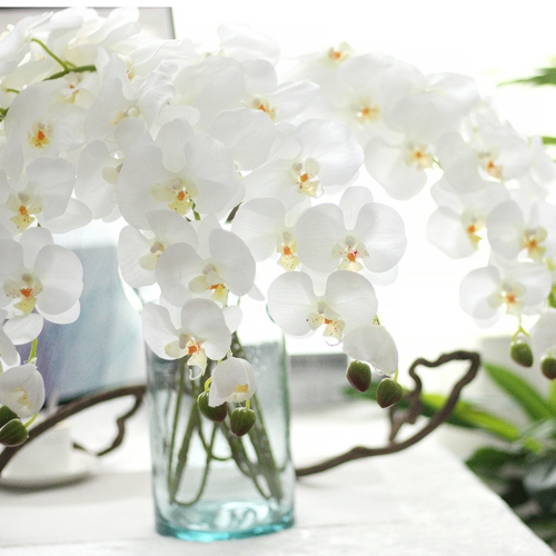 Tischdeko mit Orchideen weiße Orchidee in Vase