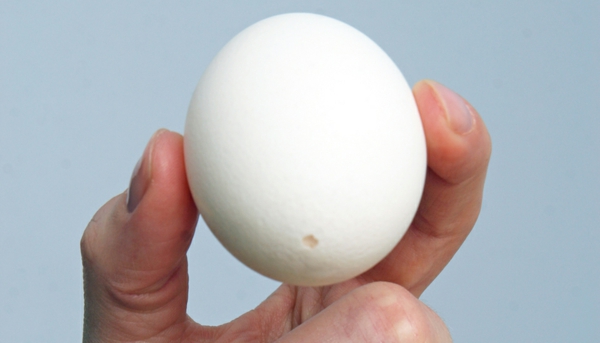 ausgeblasene Eier Anleitung Tipps Osterdeko