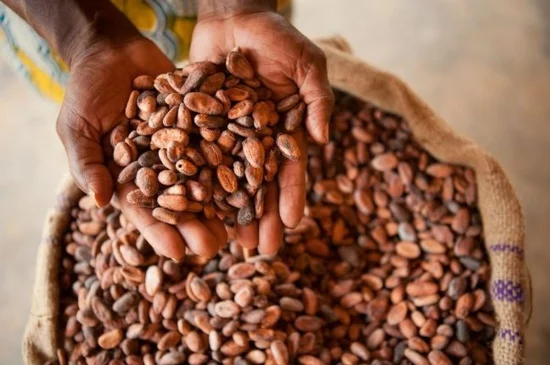 nachhaltige ostern fair trade kakao