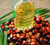 Ist Palmöl gesund und was Sie dabei beachten sollten?