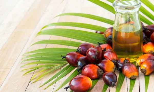 palmöl gesund tipps