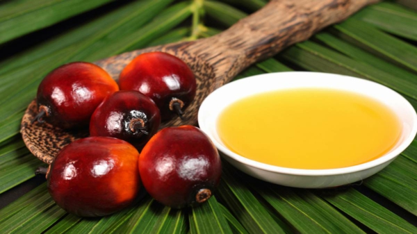 palmöl gesund wirkung anwendung