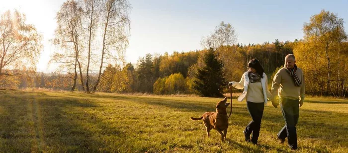 Corona-Krise und Hunde Herrchen Frauchen Hund Spaziergang im Wald auf einer Wiese