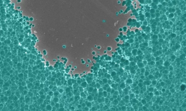 Mutiertes bakterielles Enzym zersetzt Plastikflaschen in Stunden experiment französische wissenschaftler