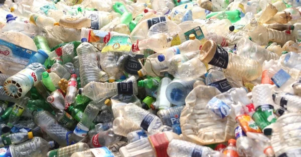 Mutiertes bakterielles Enzym zersetzt Plastikflaschen in Stunden plastikflaschen abfall richtig recyceln