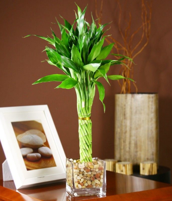 regal - blumenvasen ideen - bambus im kübel
