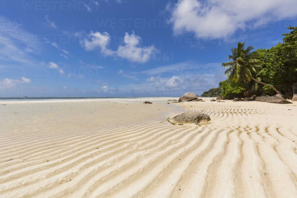 Anse Royale Beach Seychellen weißer Strand Palmen azurblaues Meer
