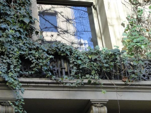 Balkon bepflanzen - Balkon am Fenster