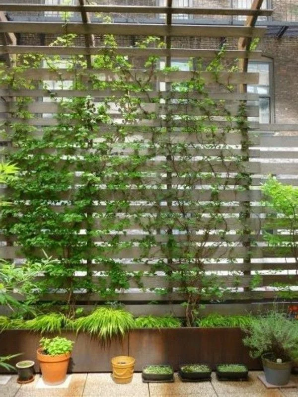 Balkon bepflanzen - grüne Pflanzen Ideen