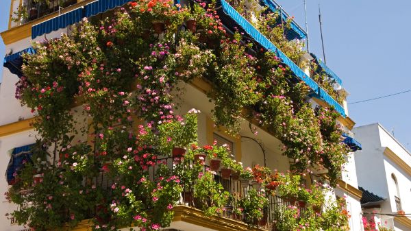 Balkon bepflanzen - tolle Ideen für die Balkongestaltung
