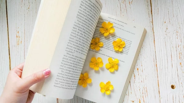 Blumen pressen Methoden Buch zwischen Buchseiten
