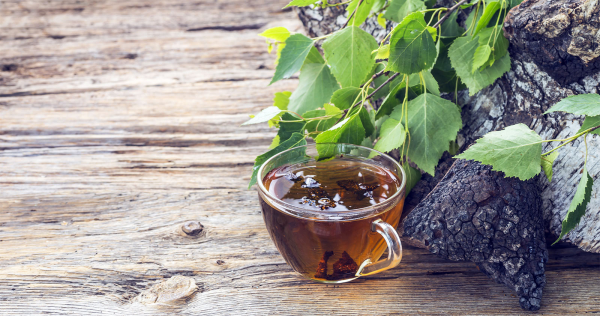 Chaga Tee ein Glas Brocken Chaga Pilz wächst an Birkenbäumen Brocken unbehandelte Oberfläche dunkel bis schwarz