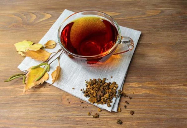Chaga Tee eine Tasse das beste Antioxidans direkt aus der Natur