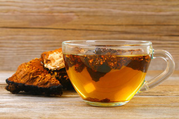 Chaga Tee eine Tasse goldbraune Farbe Chaga Pilz Brocken