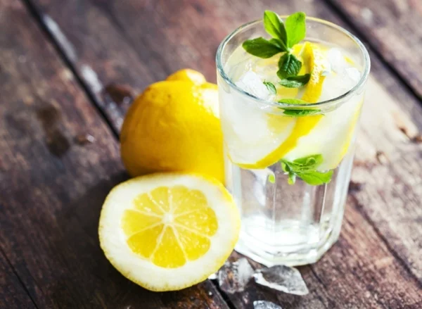 Fett Killer fettverbrennende Lebensmittel Zitronen Wasser