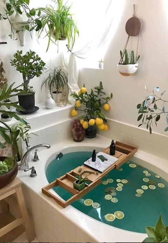 Grün im Bad Badewanne Zitronenscheiben im Wasser kleines Fenster genügend Tageslicht Badpflanzen