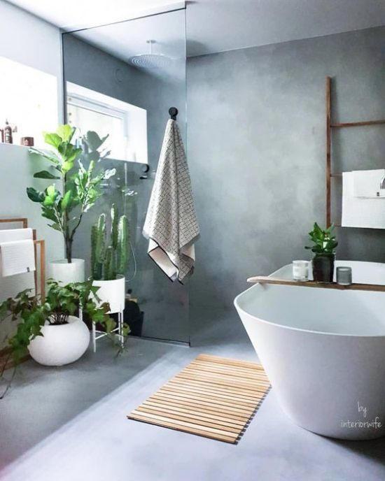 Grün im Bad ein schickes Badezimmer in Grau viele Badpflanzen darunter auch Kakteen