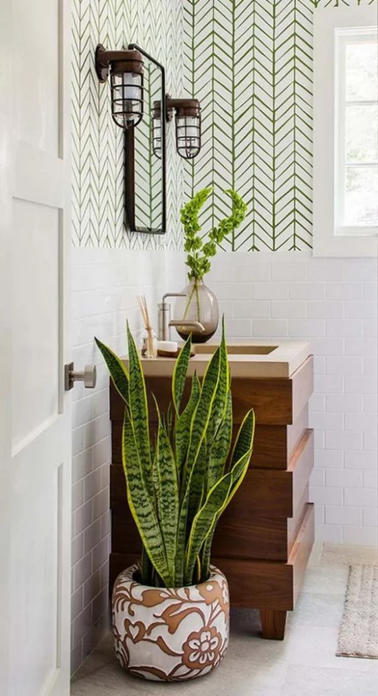 Grün im Bad modernes Badezimmer Bogenhanf im schönen Topf neben Waschtisch