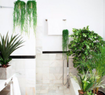 Viel Grün im Bad – Badpflanzen bringen tropisches Flair mit