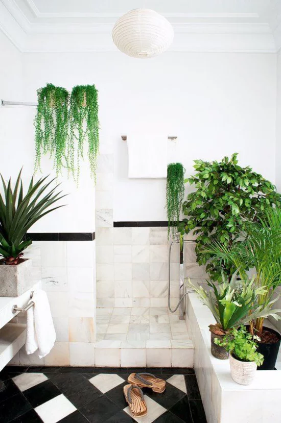 Grün im Bad verschiedene Badpflanzenschmücken das weiße Badezimmer