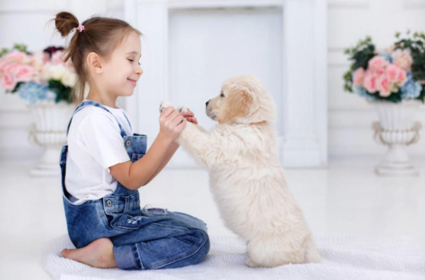 Hundeallergie -tolle Ideen fürs Zuhause