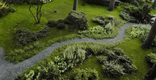 Naturgarten anlegen - eine wunderschöne Wiese - Garten Ideen