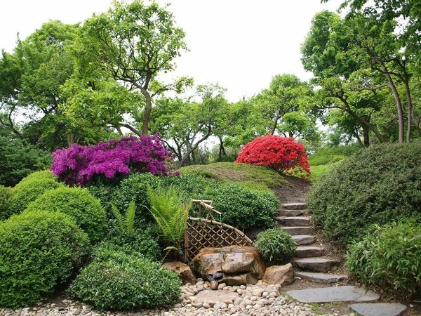 Naturgarten anlegen künstliche Landschaft Gartengestaltung