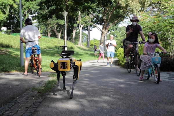 Roboterhund Spot von Boston Dynamics zeigt seinen neuen Fähigkeiten spot im park singapur