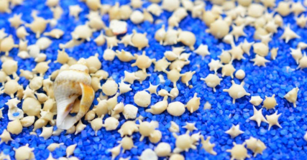 Schöne Strände weltweit Star Sandstrand in Japan viele kleine Muscheln in Sternform