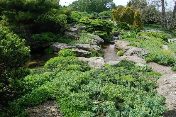Steine und Naturlandschafte - Naturgarten anlegen
