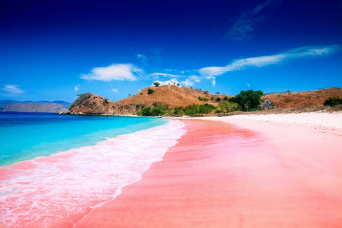 Top 5 der schönsten Strände der Welt Pink Sand Beach Bahamas einmalige Schönheit
