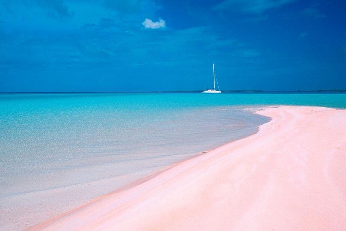 Top 5 der schönsten Strände der Welt Pink Sand Beach ein Paradies auf Erden