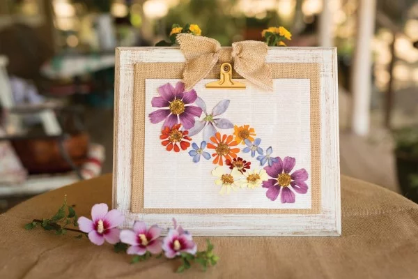Wie kann man Blumen pressen Blumendeko Holzrahmen kreative Geschenkideen