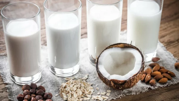 Alternativen zu Kuhmilch Milchalternativen laktosefreie Ernährung