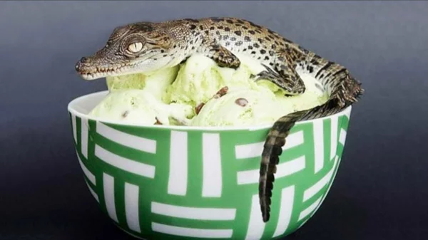 Ausgefallene Eissorten aus aller Welt verrückte Geschmacksrichtungen Eis aus Krokodilei in den Philippinen