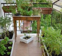 Balkongarten anlegen: Kräuter auf dem Balkon pflanzen leicht gemacht