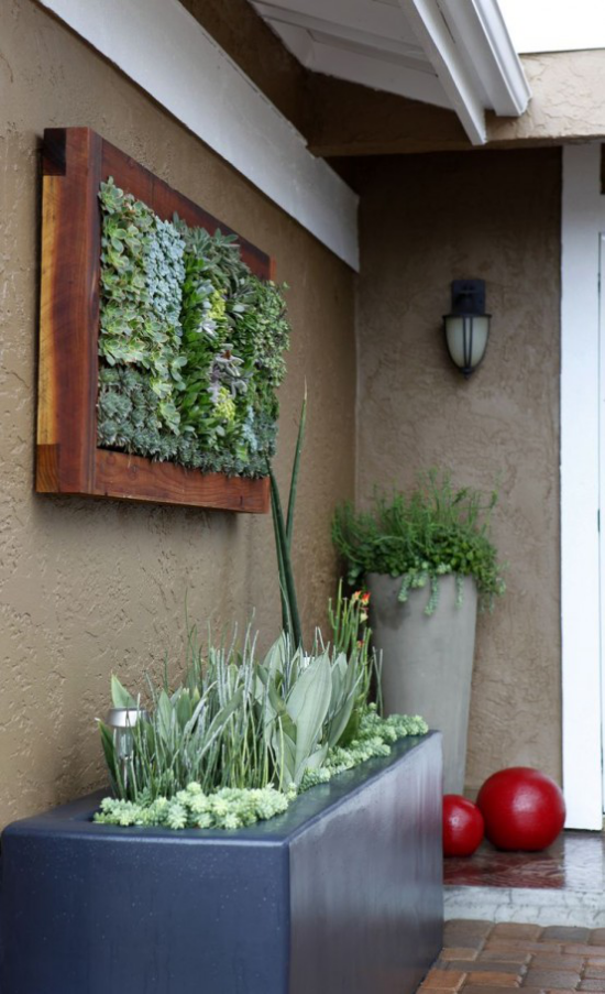 Blumentöpfe und Pflanzgefäße grüne Wand grauer Topf mit Sukkulenten