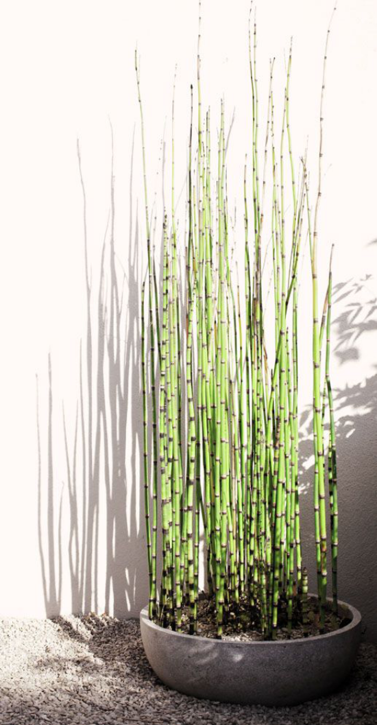Blumentöpfe und Pflanzgefäße kleiner schalenförmiger Blumenbehälter Bambus