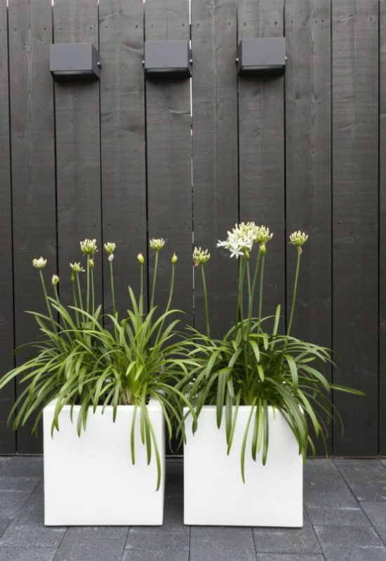 Blumentöpfe und Pflanzgefäße zwei rechteckige weiße Töpfe vor einer Holzwand