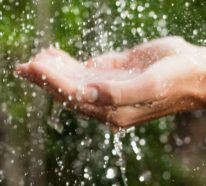 Warum muss man das Regenwasser nutzen und wie kann man das effizient tun?
